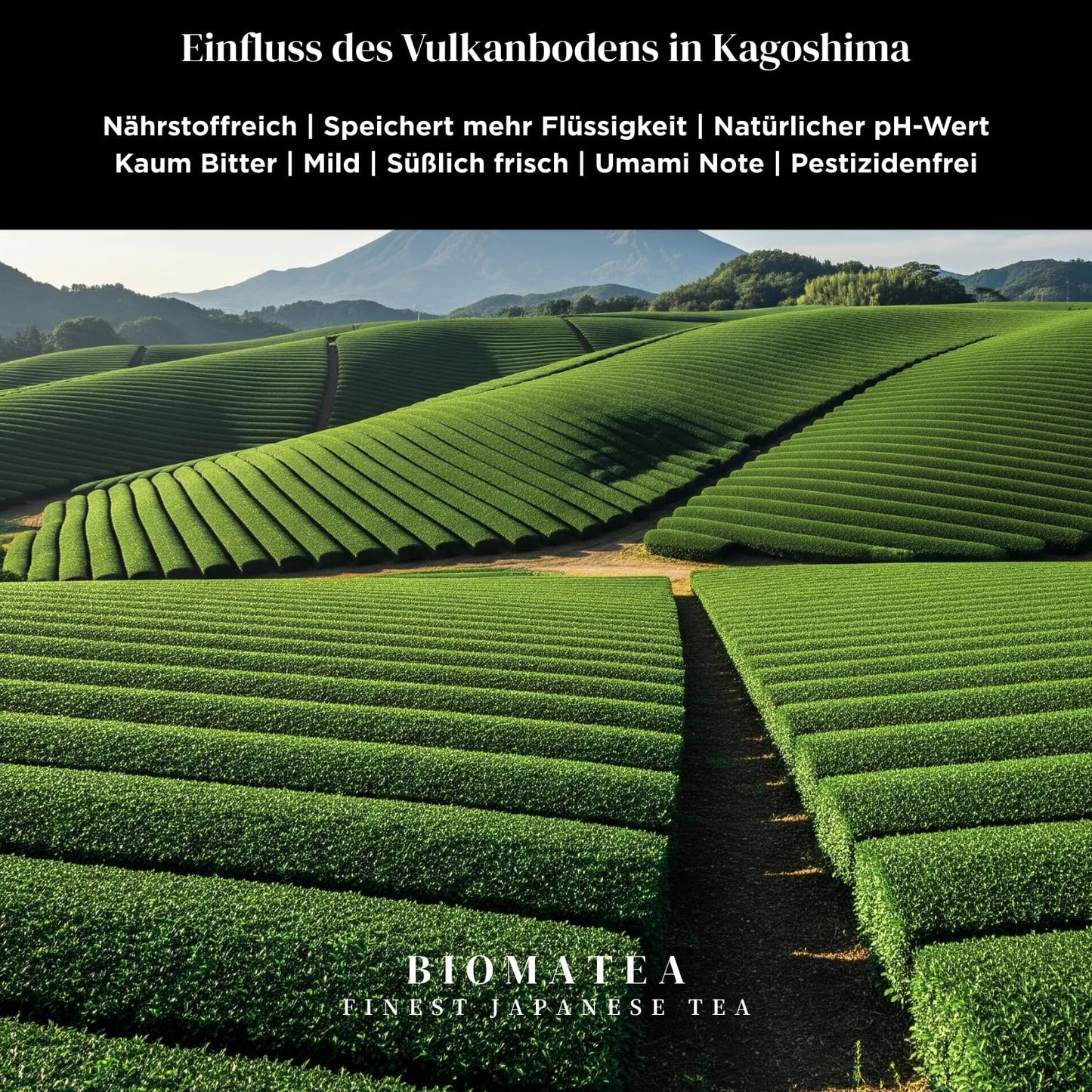 BIOMATEA Matcha Pulver – Premium Grüner Tee aus Japan (Kagoshima) | Vielseitig für Latte, Smoothies, Backen & Desserts | 100% natürlich & fein gemahlen (50g Beutel)