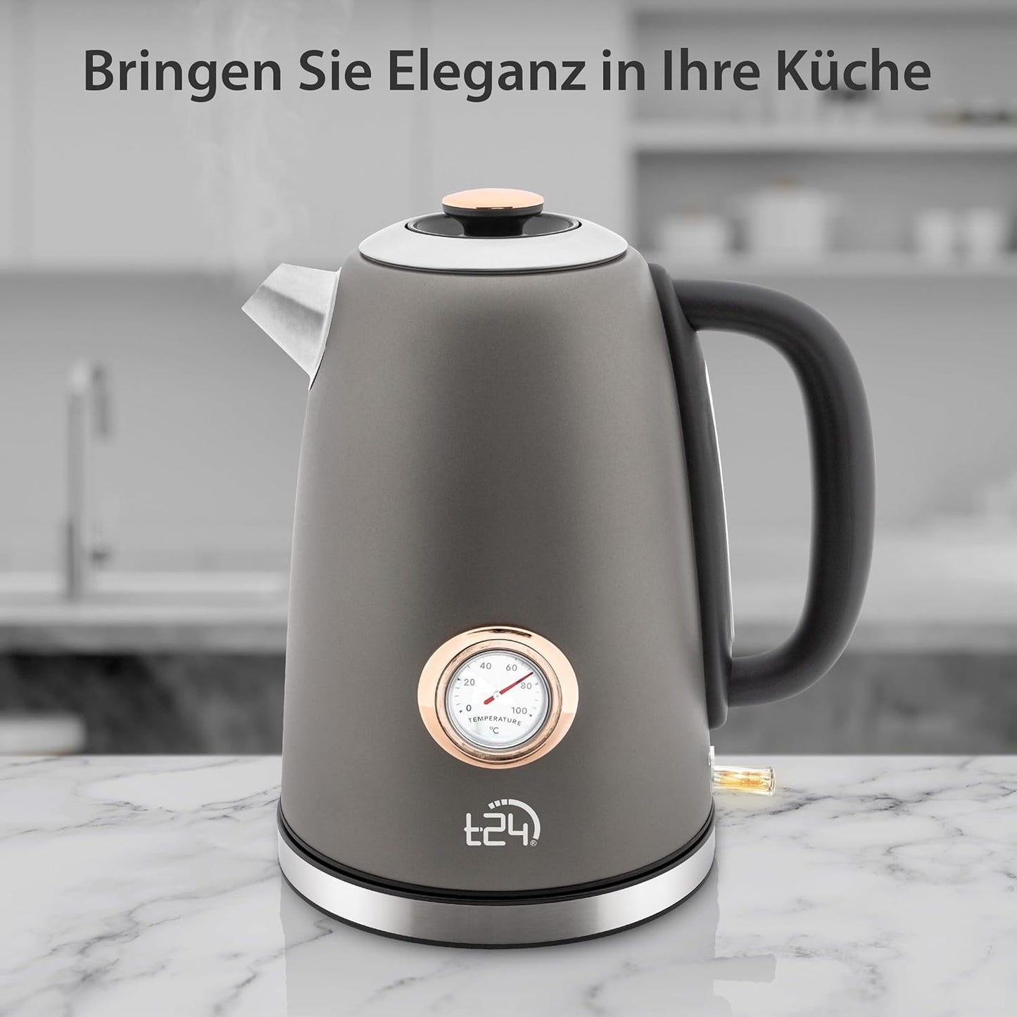 Edelstahl Retro Wasserkocher Vintage Design in Grau Matt mit Analogen Thermometer, 1,7 Liter