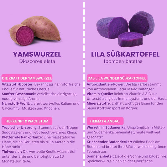 Biomalab Ube Pulver (50g) – 100% Natürliche Yamswurzel & Lila Süßkartoffel – Premium Purple Yam Powder – Vegan, Glutenfrei & Ohne Zuckerzusatz – Ideal für Ube Latte