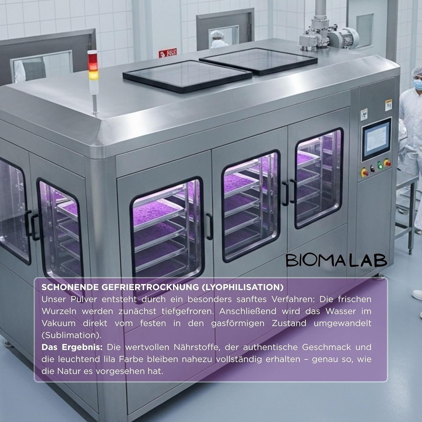 Biomalab Ube Pulver 140g Dose – 100% Natürliche Yamswurzel & Lila Süßkartoffel – Premium Purple Yam Powder – Vegan, Glutenfrei & Ohne Zuckerzusatz