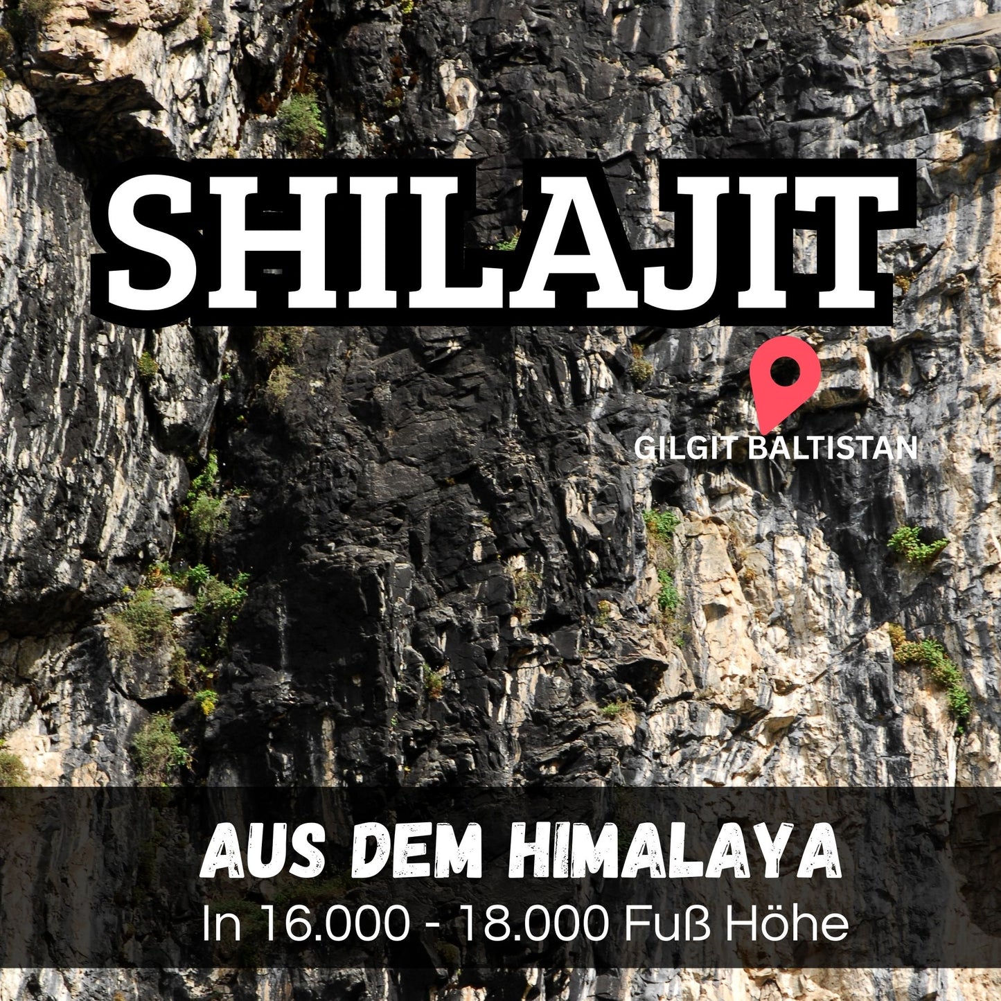 Biomalab Shilajit – 100 % Reines Himalaya Harz im 30g Glas