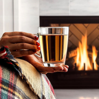 Vega 6er Set Teegläser mit Henkel, 250/300/400 ml