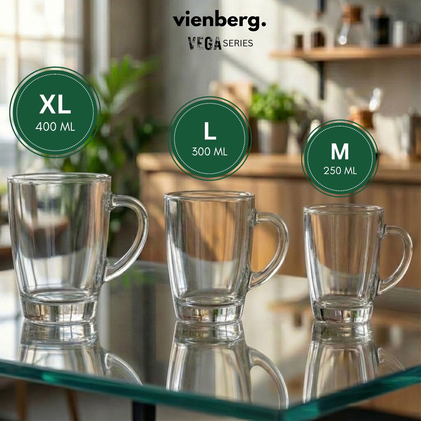 Vega 6er Set Teegläser mit Henkel, 250/300/400 ml