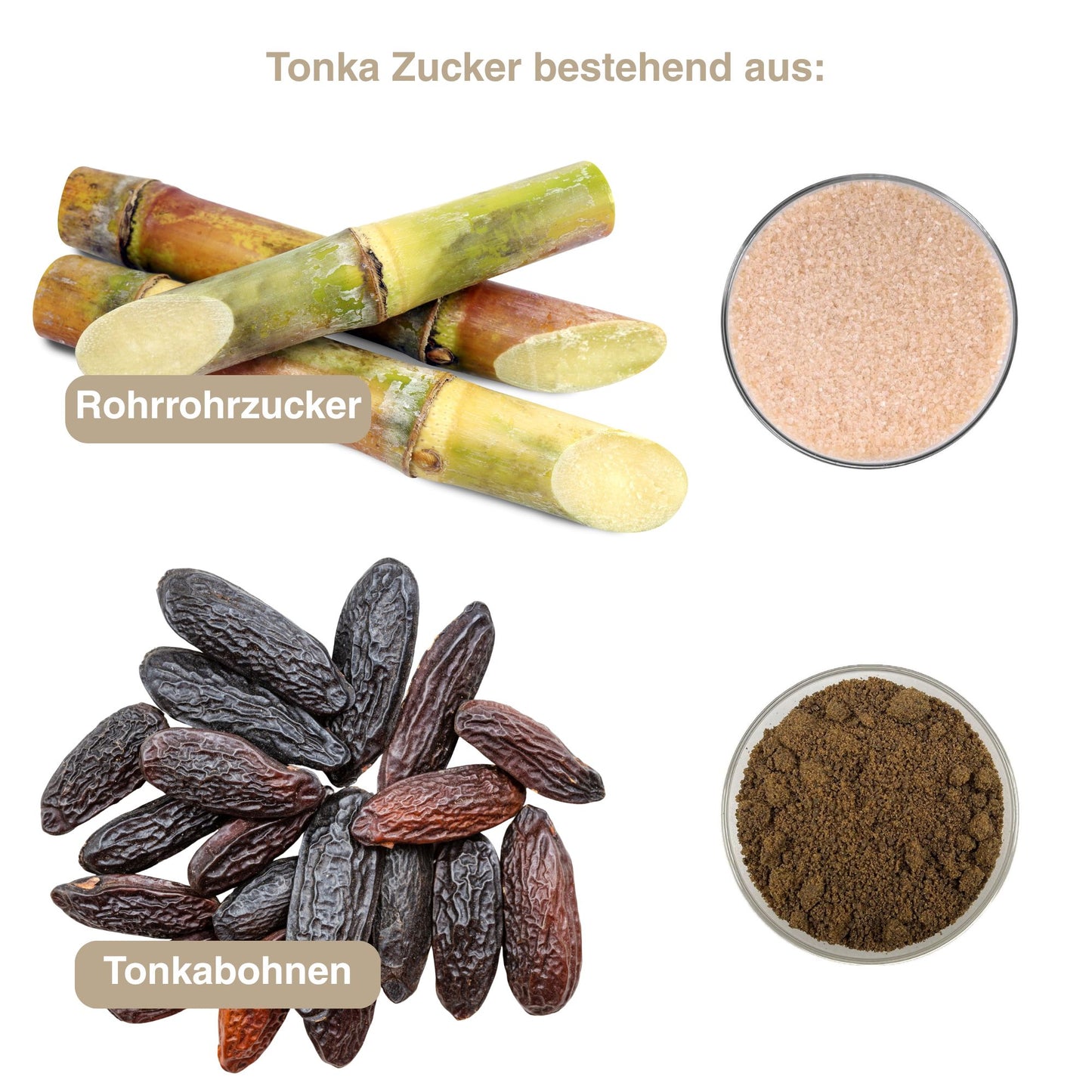 Bio Tonka Zucker 175 g – Aromatischer Tonkabohnen Zucker – Feiner Duft nach Vanille & Mandel, organik Tonkazucker