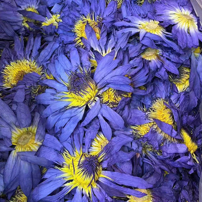 Lotusblüten, Ganze Blüten Blau, Naturbelassen, Getrocknete Deko Blüten, Räucherwerk, 30 g