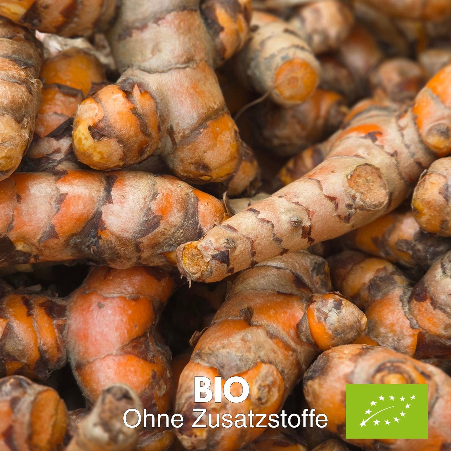 Bio Kurkuma Pulver, Curcuma longa | Fein Gemahlen | Ideal für Golden Milk, Curry & Smoothies | Vegan