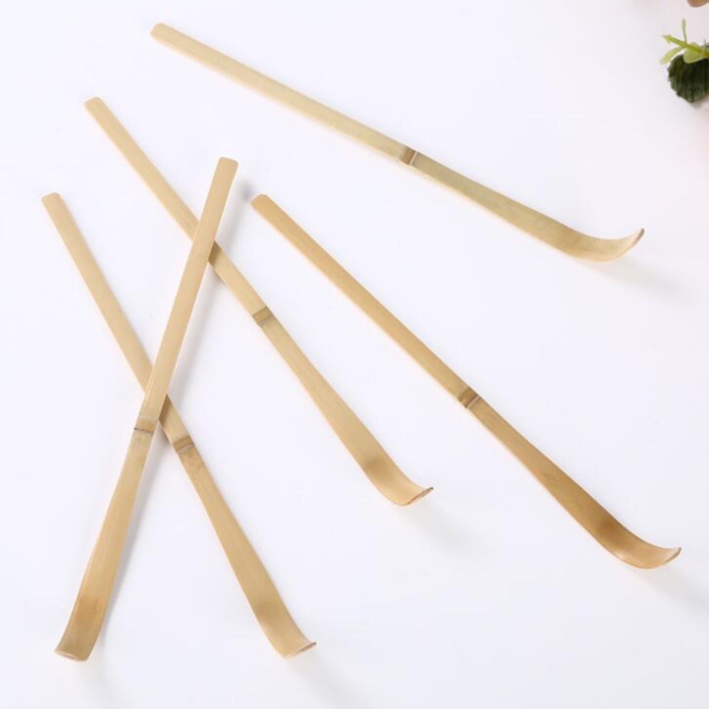 Matcha Bambus Löffel, Chashaku Bambuslöffel