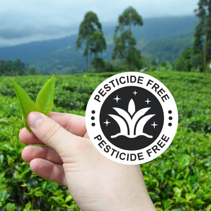 Japanischer Matcha Tee Pulver, Matcha Love Cat edition, 50 g, Cafe Qualität