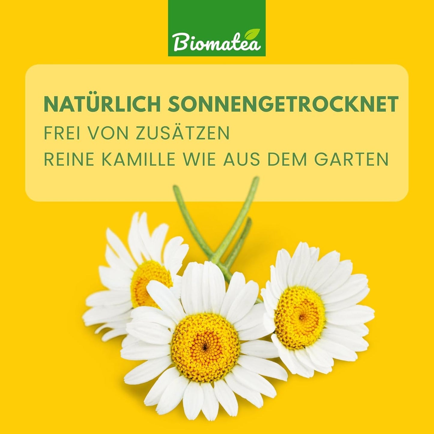 Kamillenblüten, 100 g getrocknet Kamillenntee