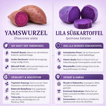 Biomalab Ube Pulver 140g Dose – 100% Natürliche Yamswurzel & Lila Süßkartoffel – Premium Purple Yam Powder – Vegan, Glutenfrei & Ohne Zuckerzusatz
