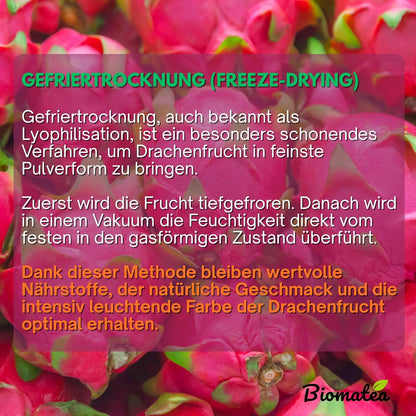 Biomatea Premium Drachenfrucht Pulver | rein, naturbelassen & ohne Zusätze | 100 g Pitaya Powder