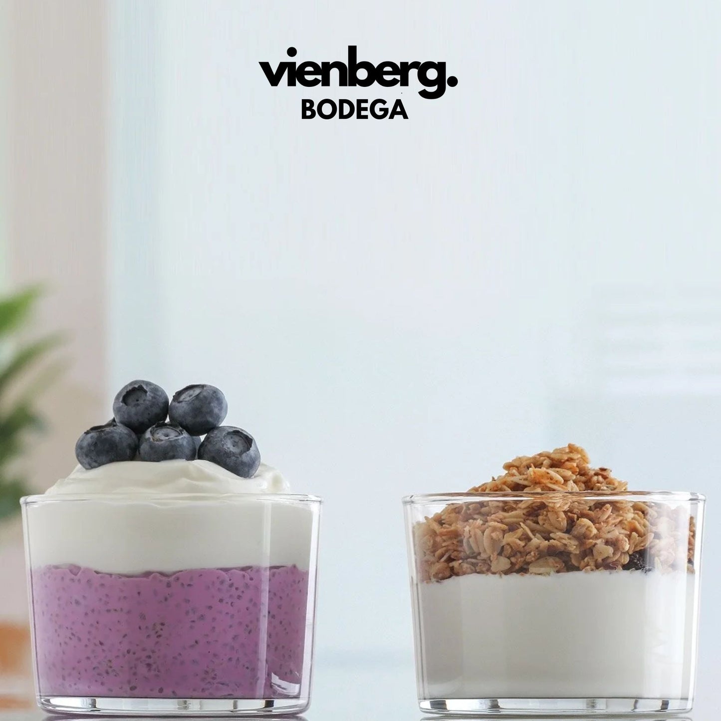 Bodega 240 ml Glas Set 6 Stück Vielseitige Trinkgläser & Dessertschalen, Glasschalen