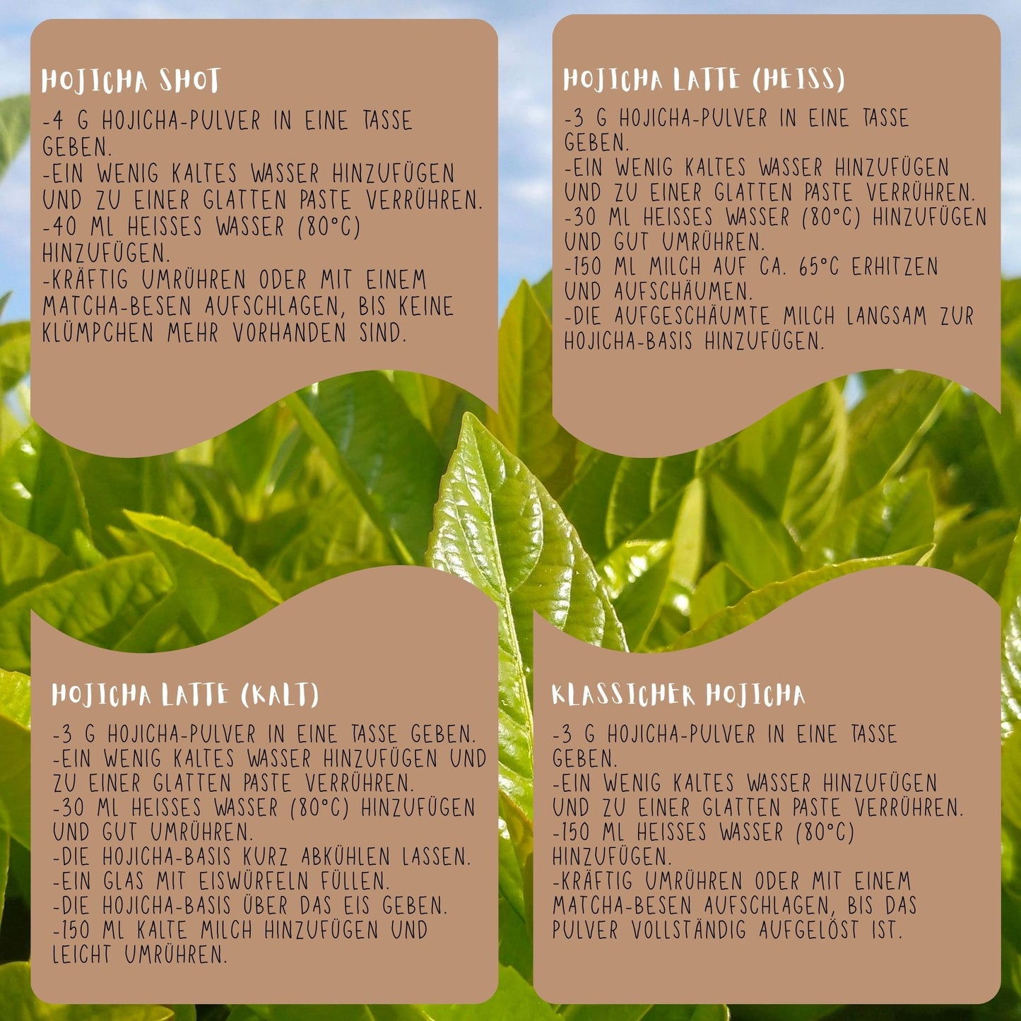 Bio Hojicha Pulver aus Japan 50g, Traditionell Gerösteter Grüntee, Zuckerfrei Vegan Glutenfrei
