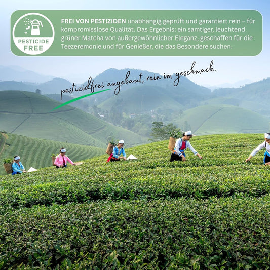 Yozi Premium ceremonial Matcha Pulver, 50g Dose, aus Kagoshima, high grade, Pestizidfrei Matcha-Tee
