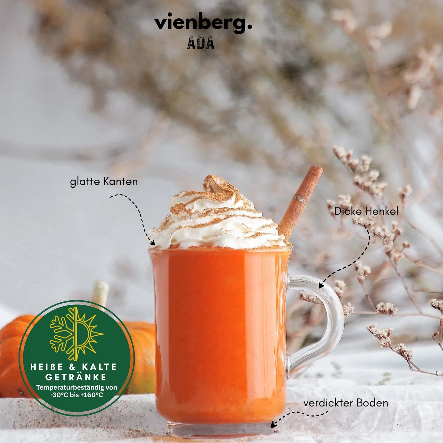 Ada 6 Stück Teegläser mit Henkel, 250ml Kaffee, Cappuccino, Matcha & Tee Glas