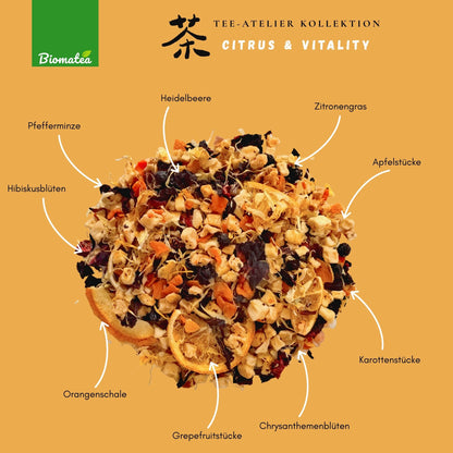 Citrus & Mint Vitality – Frischer Kräutertee mit Grapefruit, Minze & Beeren (80g) – Tee-Atelier Edition
