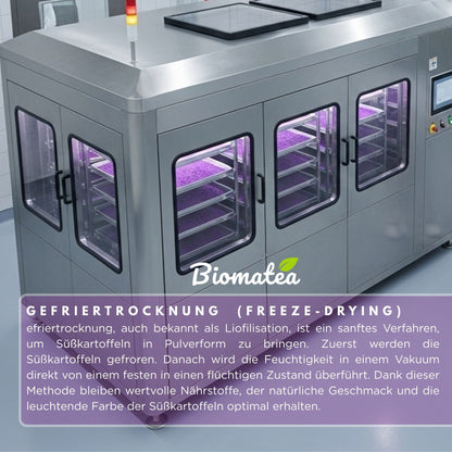 Lila Süßkartoffel Pulver 100 g – Premium Ube Powder, Purple Sweet Potato Powder, naturbelassen & rein