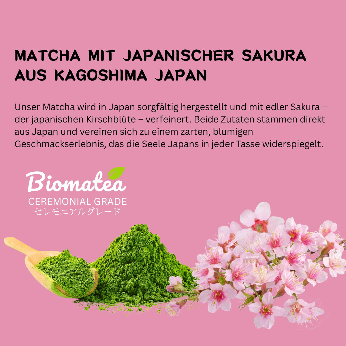 Premium Ceremonial Sakura Matcha from Kagoshima | 30g tin | Japanese cherry blossoms | Pesticide-free matcha tea