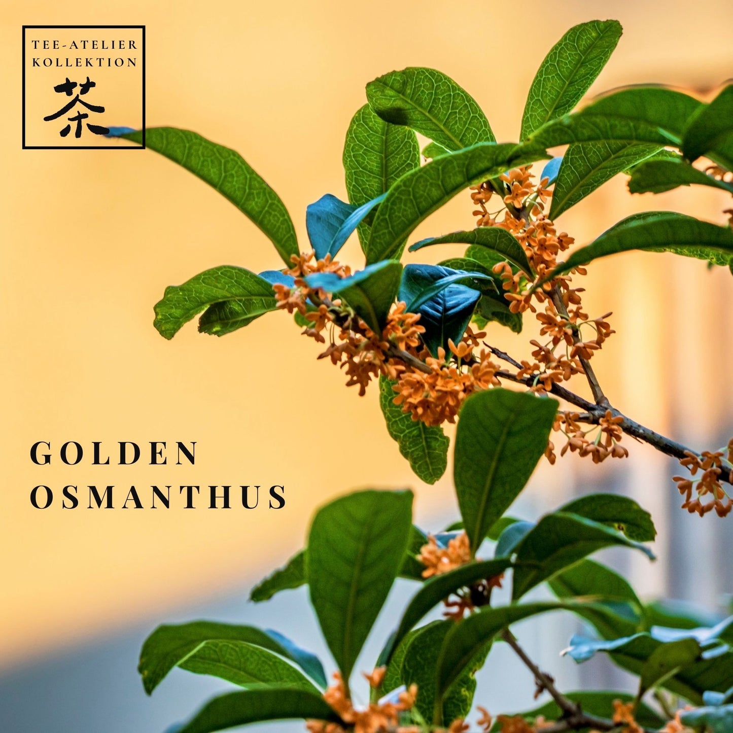 Golden Osmanthus – Grand Cru Früchtetee mit Litschi & Birne (80g) – Tee-Atelier Edition