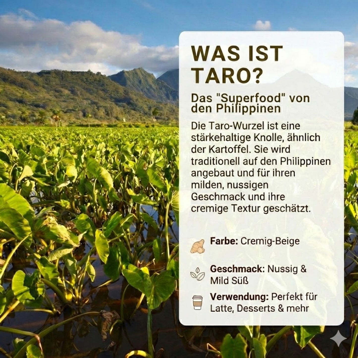 Biomatea Taro Coco Latte Mix – Vegan & Natürlich gesüßt mit Kokosblütenzucker, 150g