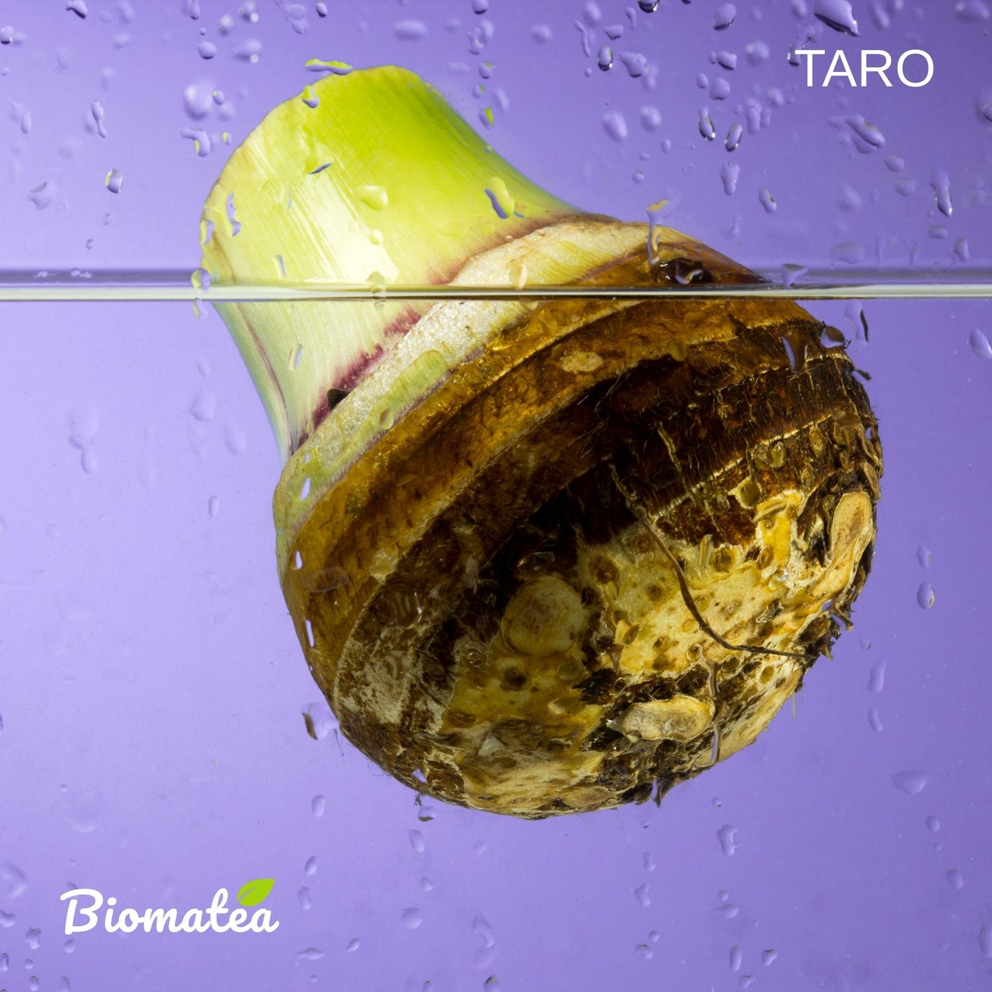 Biomatea Taro Coco Latte Mix – Vegan & Natürlich gesüßt mit Kokosblütenzucker, 150g